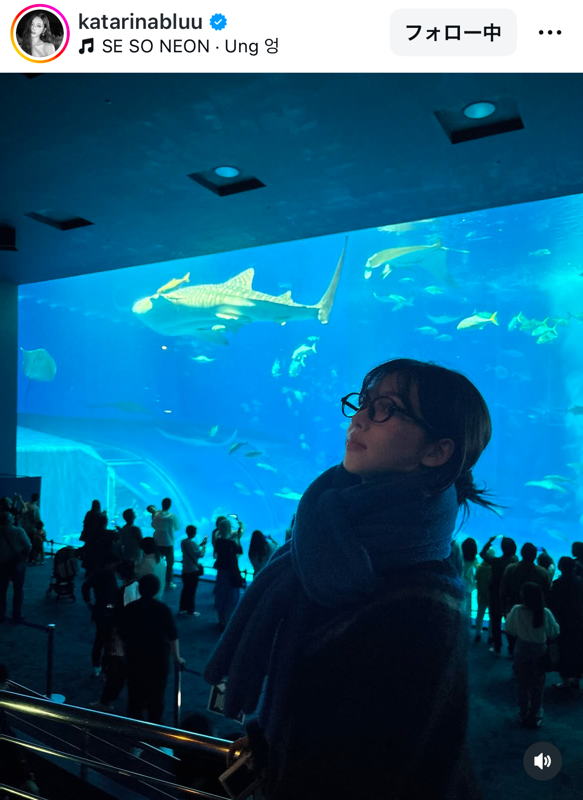 [aespaカリナ][沖縄]沖縄美ら海水族館