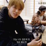 inu2