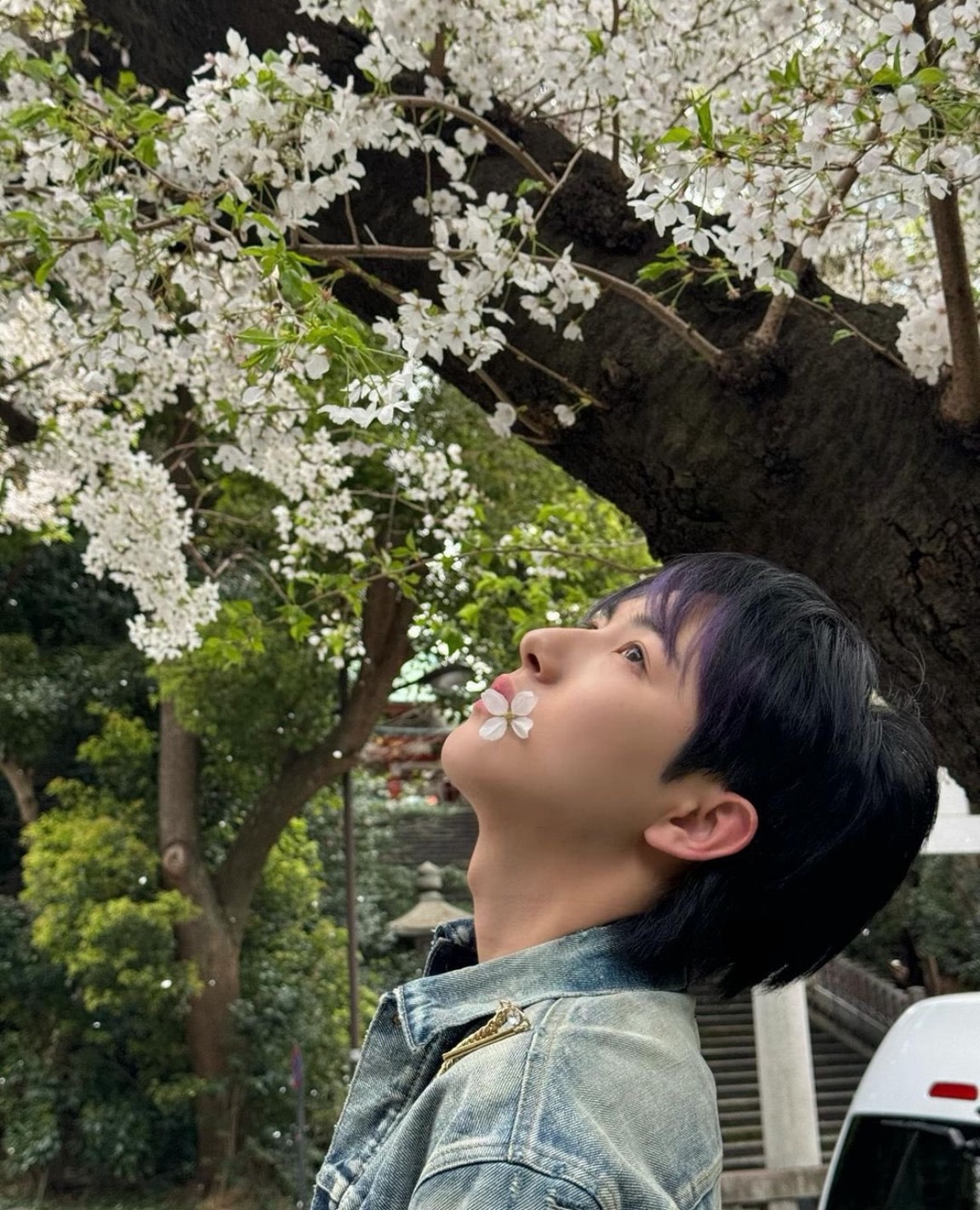 ［NCTDEAM ロンジュン］［東京］日枝神社