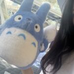 totoro