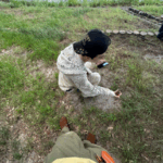 スクリーンショット 2025-11-21 152317