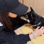 スクリーンショット_9-4-2026_231310_www.instagram.com